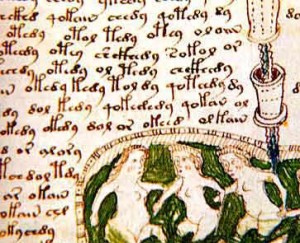 voynich manuscrito mito leyenda